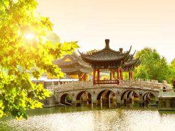 یادگیری زبان چینی و اهمیت آن